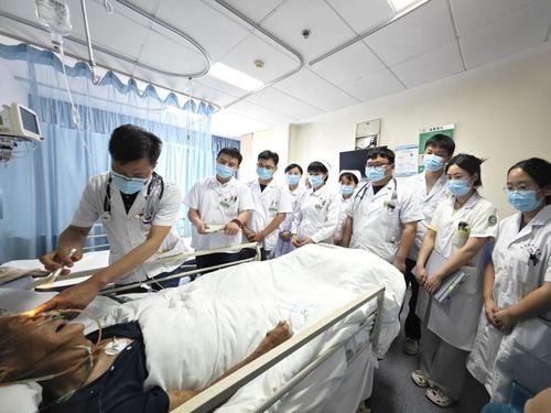 腦病科 神經(jīng)內(nèi)科