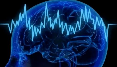 縣人民醫(yī)院神經(jīng)內(nèi)科腦電圖 肌電圖檢查指南