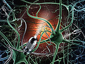 神經科_神經科圖片